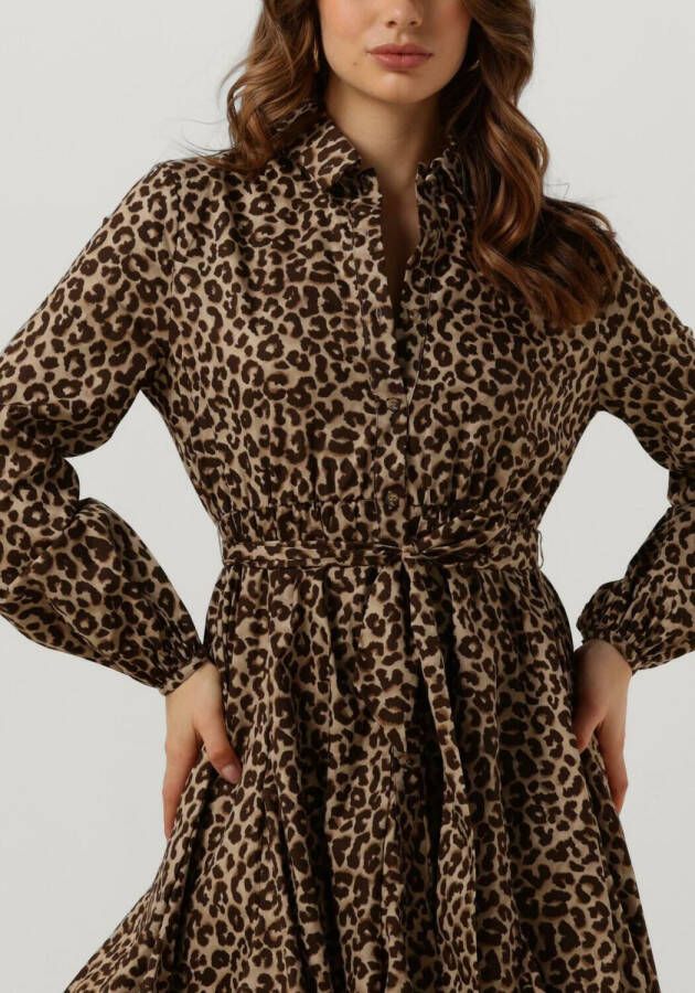 Colourful Rebel Minon mini blousejurk met luipaardprint en strikceintuur online kopen