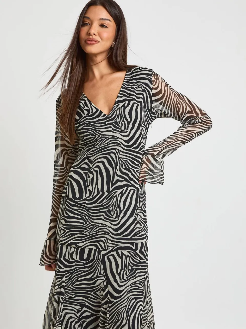 boohoo Dames Chiffon Ruffle Zebra Fit & Flare Maxi Jurk zwart, foto 3