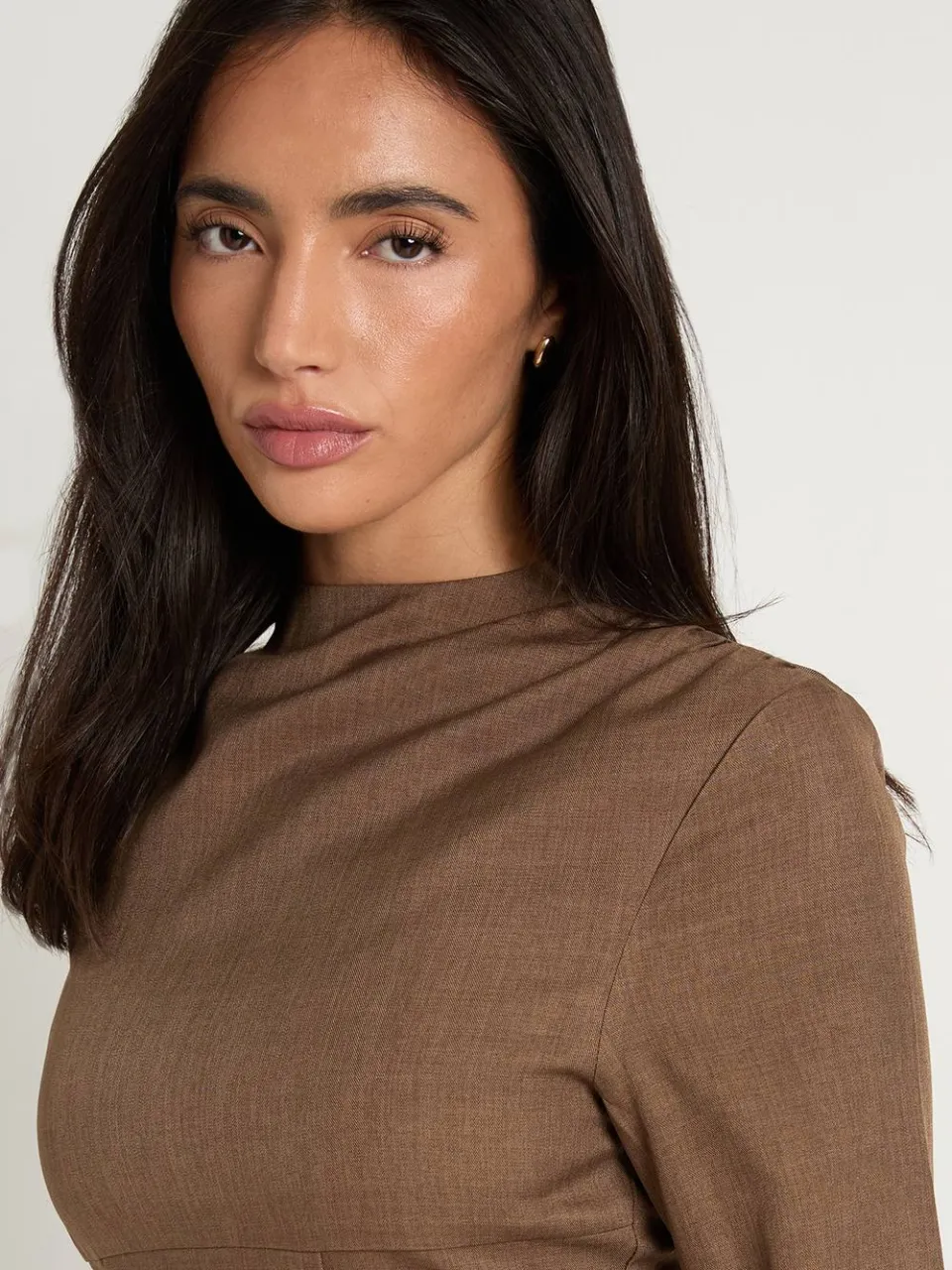 boohoo Dames Corset Paneel Hoge Hals Getailleerde Mini Jurk bruin, foto 4