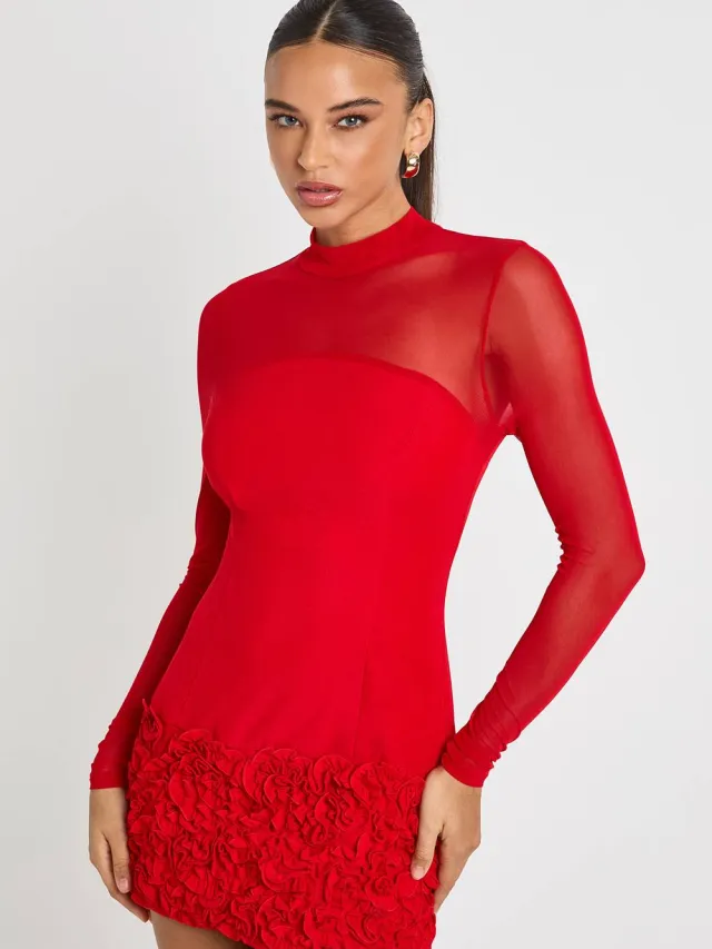 boohoo Dames 3D Bloemen Mesh met panelen Mini Jurk Rood