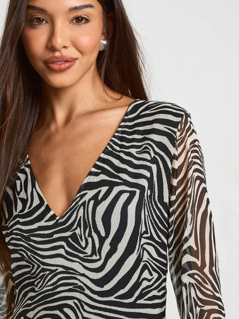 boohoo Dames Chiffon Ruffle Zebra Fit & Flare Maxi Jurk zwart, foto 4