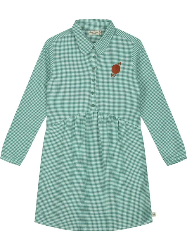Smitten Organic Lange mouwen vichy gebroduurd evase jurk Beryle Green checks