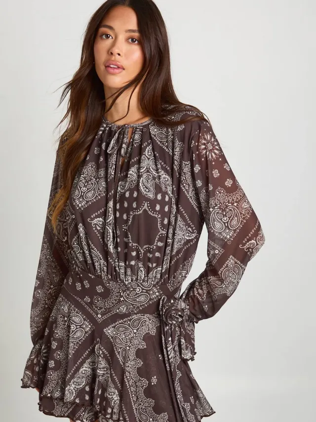 boohoo Dames Paisley-bedrukte mesh geplooide skaterjurk Chocoladebruin