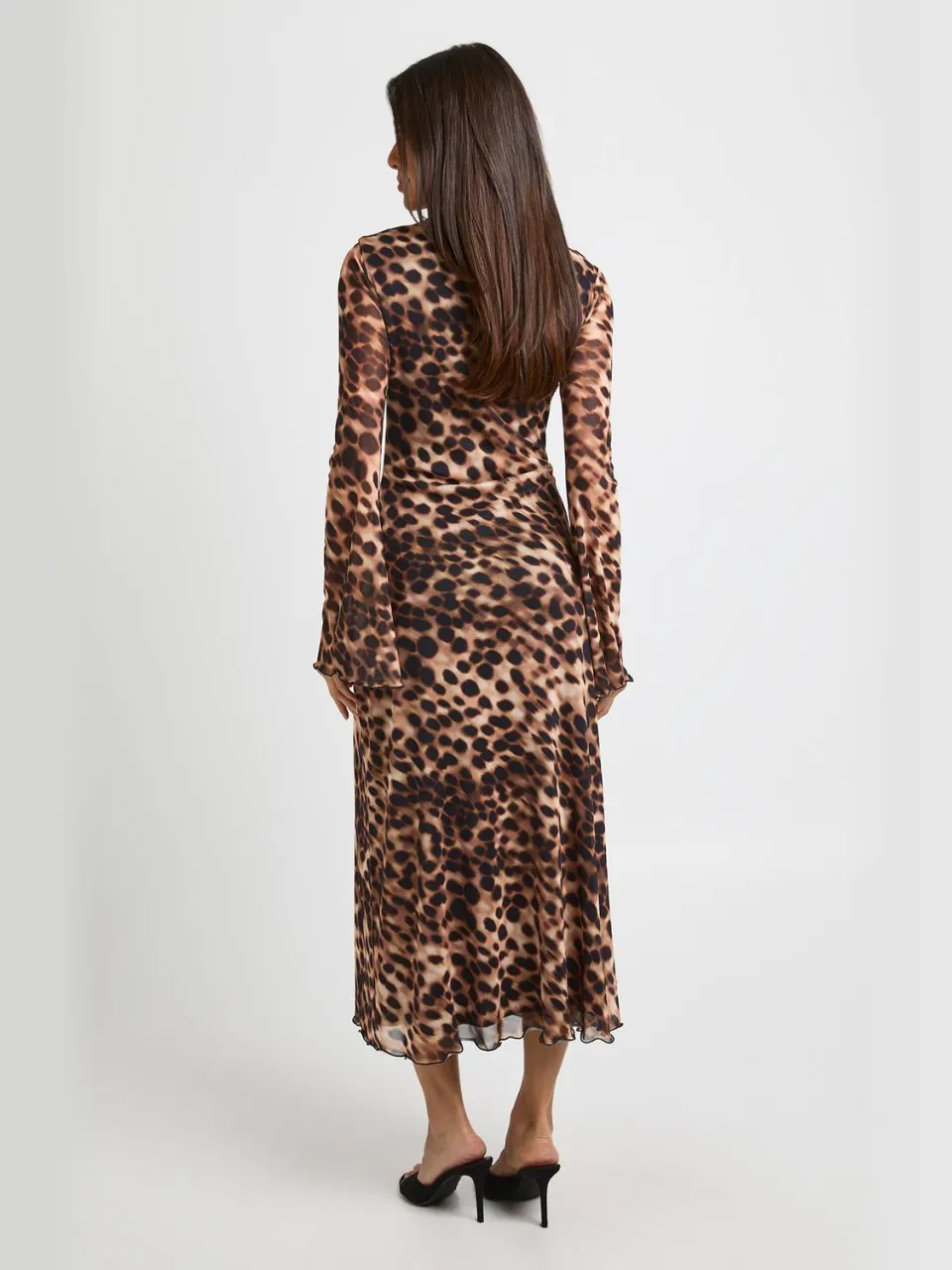 boohoo Dames Getinte Luipaardprint Fit & Flare Mesh Midaxi Jurk, foto 2