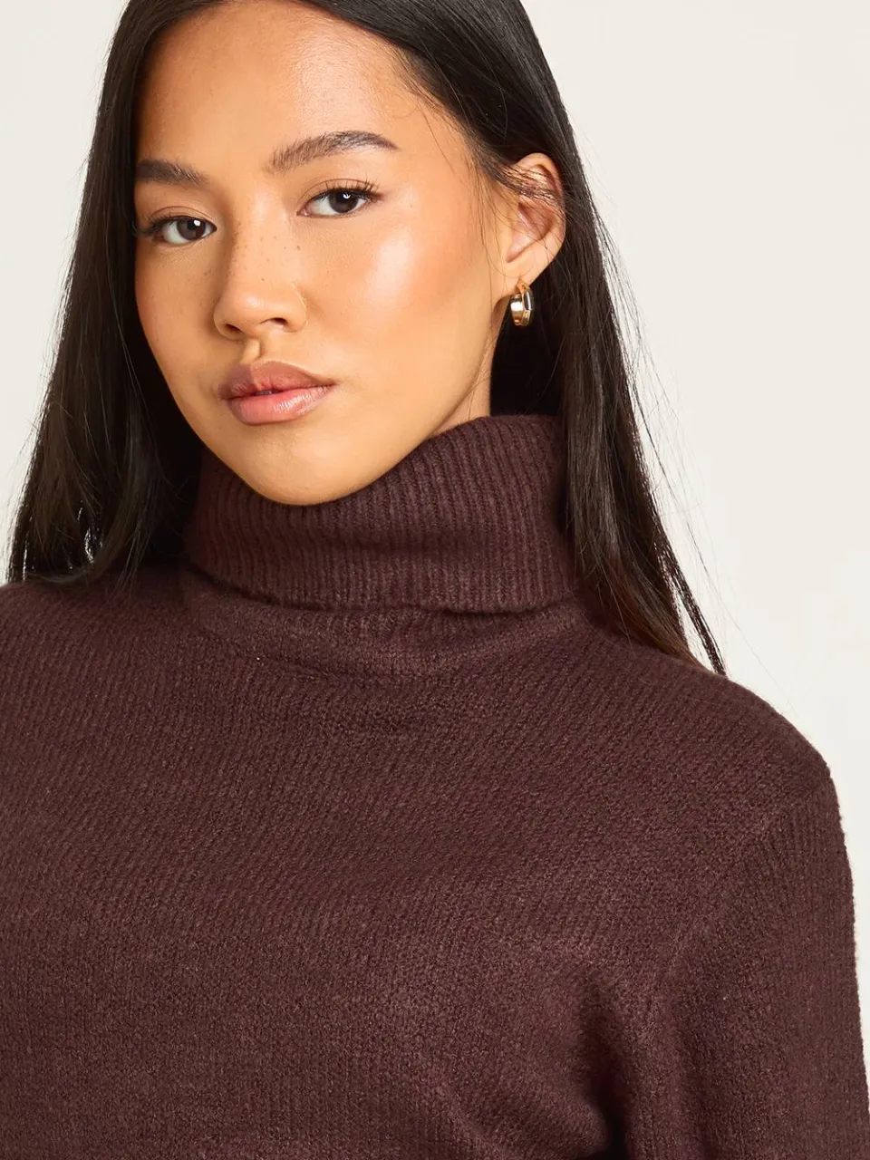 boohoo Dames Petite rolkraag chunky gebreide mini-jurk chocoladebruin, foto 4