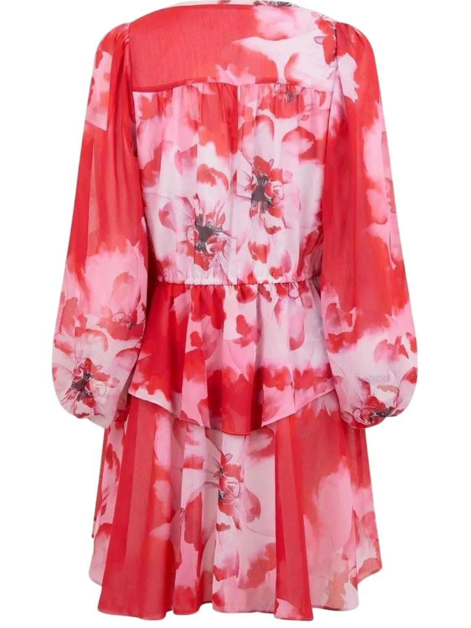 Ted Baker Dames/Dames Leyna Floral Mini Dress (Rood), foto 2