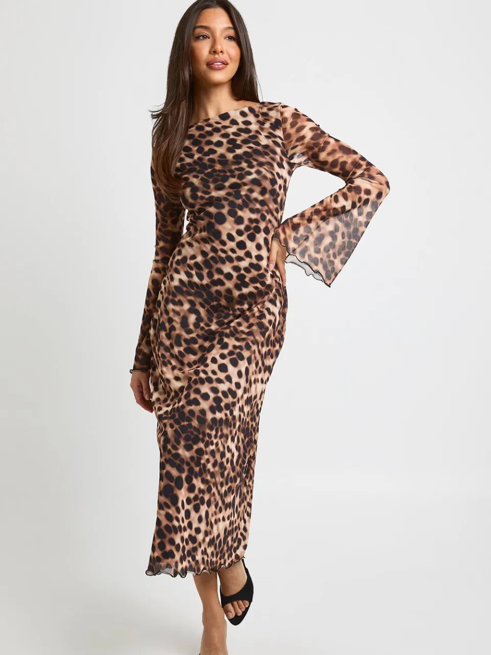boohoo Dames Getinte Luipaardprint Fit & Flare Mesh Midaxi Jurk, foto 3