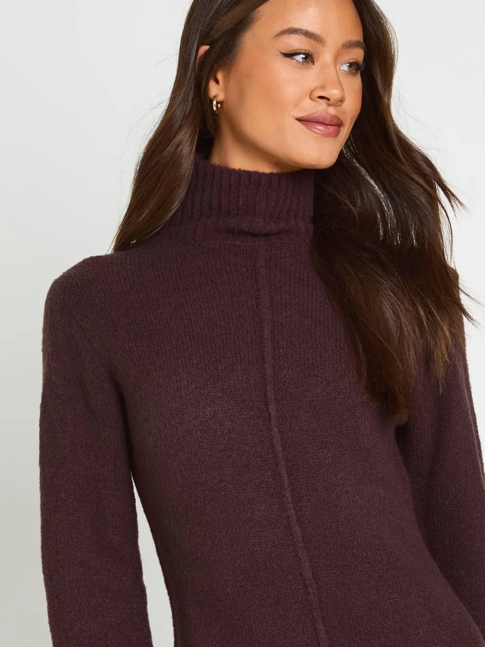 boohoo Dames Tall Hoogsluitende Gebreide Mini Trui-jurk Met Naaddetail chocoladebruin, foto 4