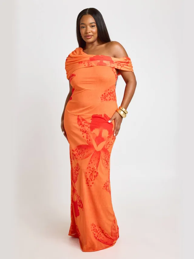boohoo Dames Plus Bloemen Mesh Maxi Jurk Oranje