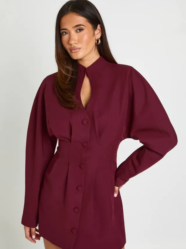 boohoo Dames Mini-jurk Met Plunge-uitsnijding En Hoge Hals In Getailleerde Snit Bessen