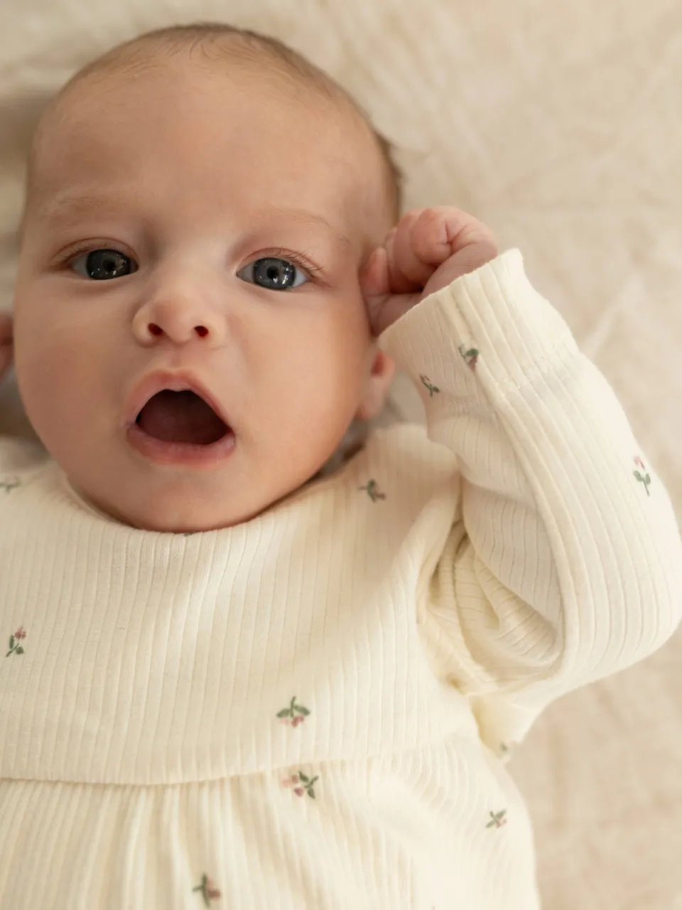 Noppies baby katoenen gebloemde A-lijn jurk ecru