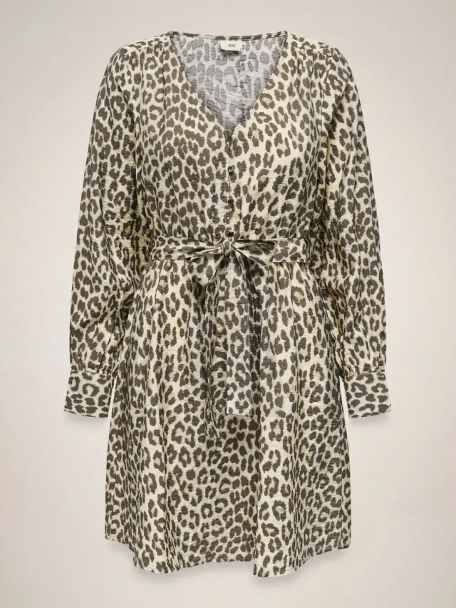 JDY JDYBEATRICE LIFE L/S DRESS WVN - Dames - Mini jurken Birch