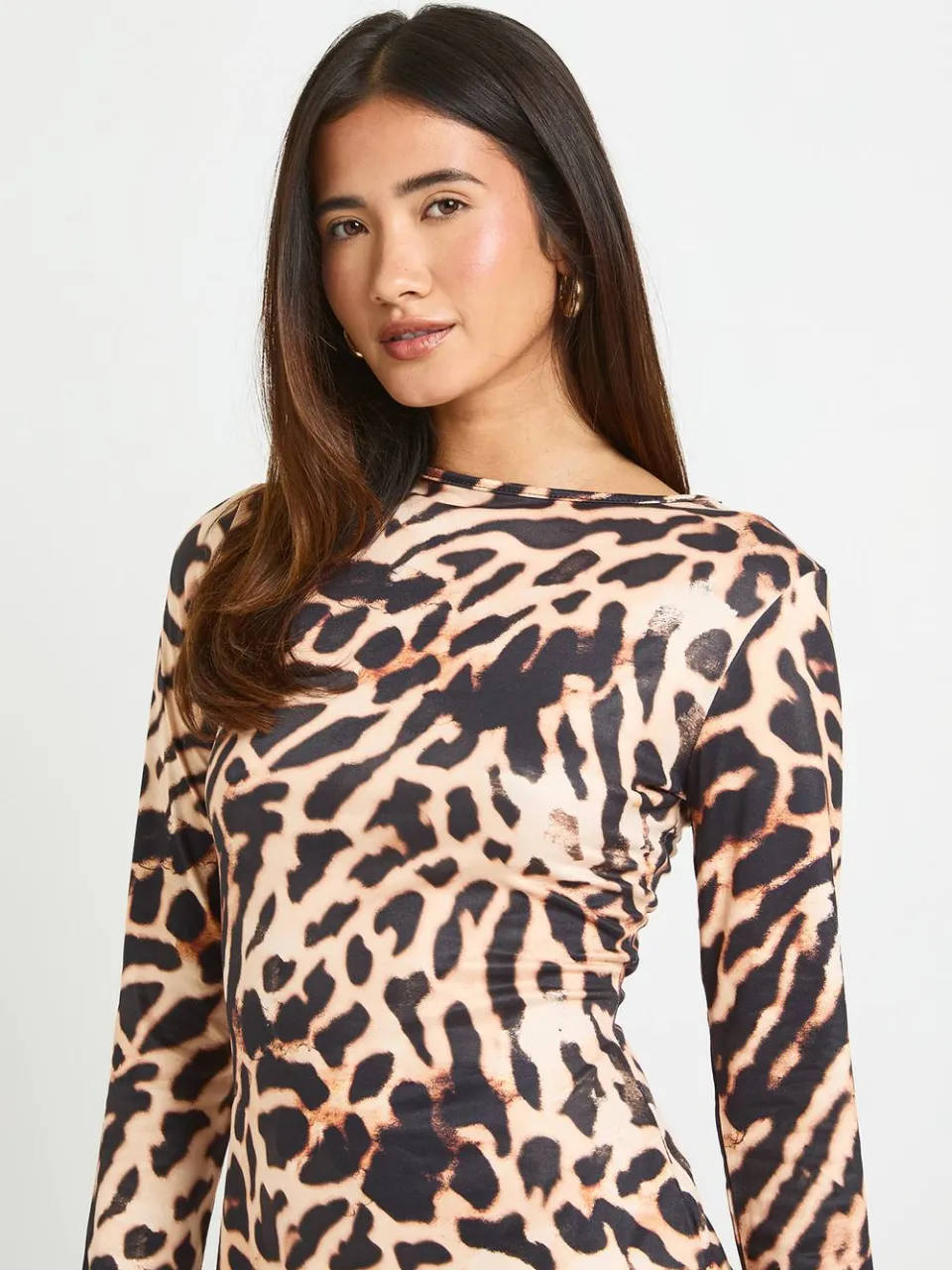 boohoo Dames Tonaal Luipaard Lange Mouw Mini Jurk luipaardprint, foto 4