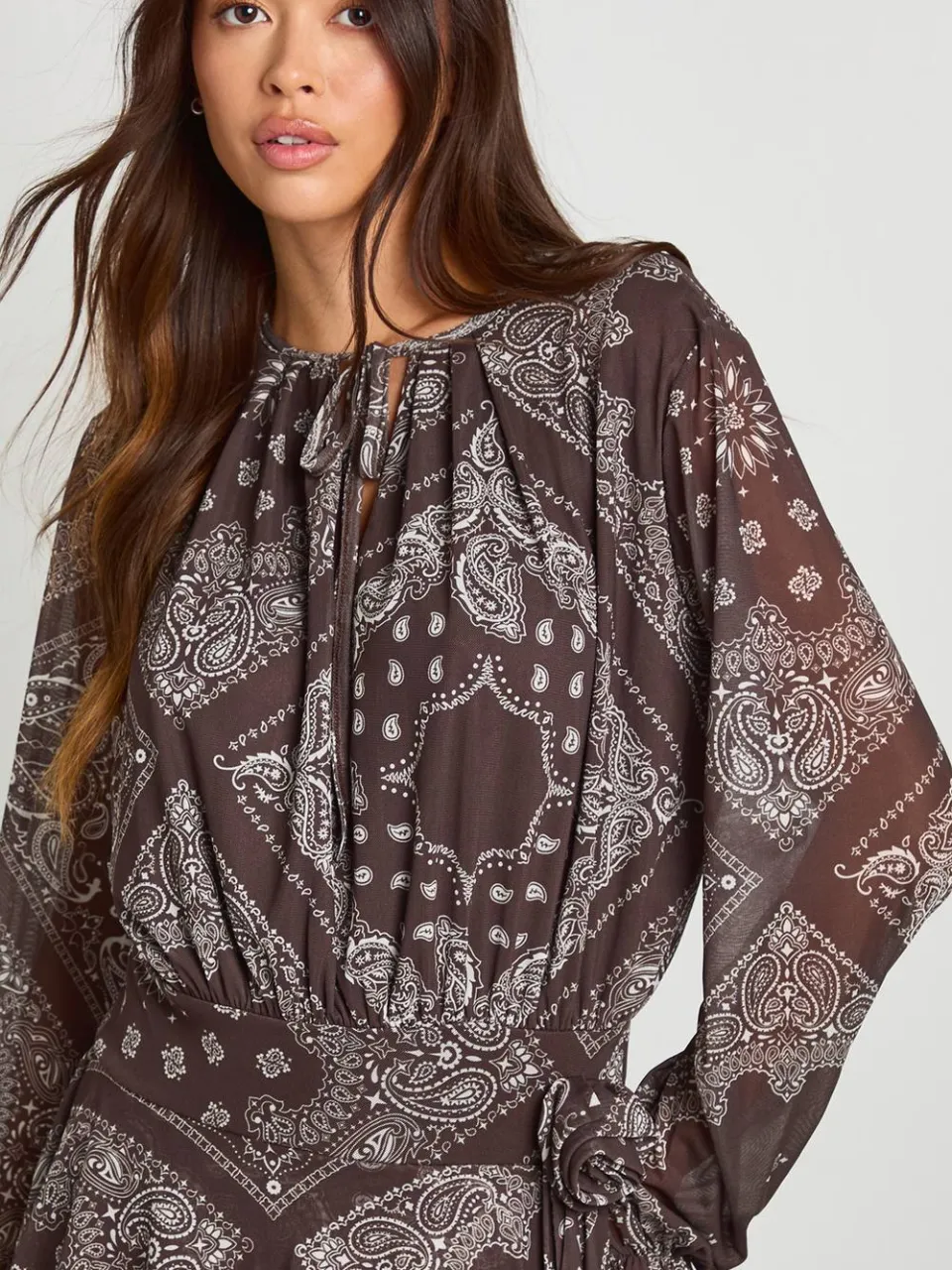 boohoo Dames Paisley-bedrukte mesh geplooide skaterjurk chocoladebruin, foto 4
