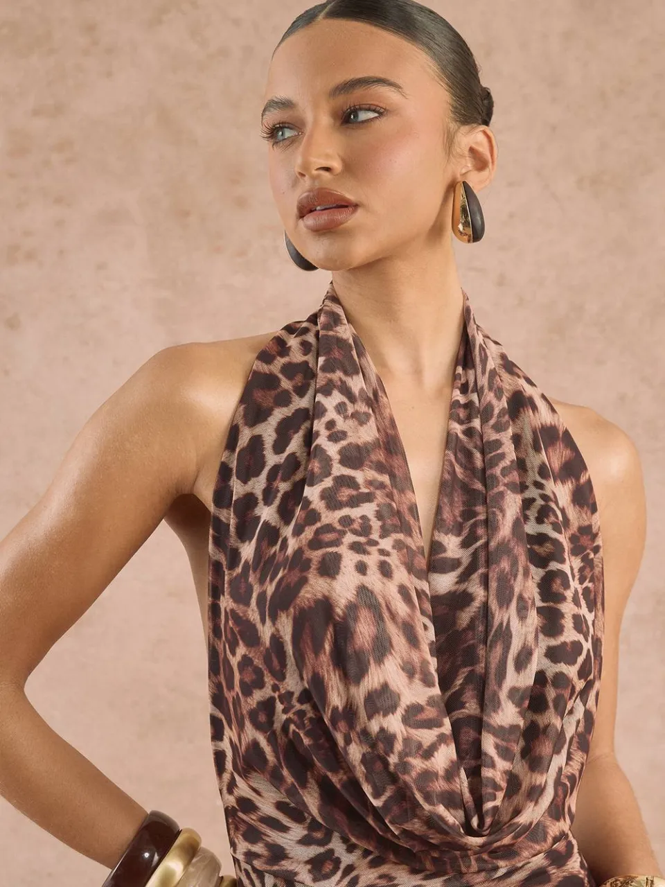 boohoo Dames Luipaard Halternek Mesh Maxi Jurk luipaardprint, foto 4