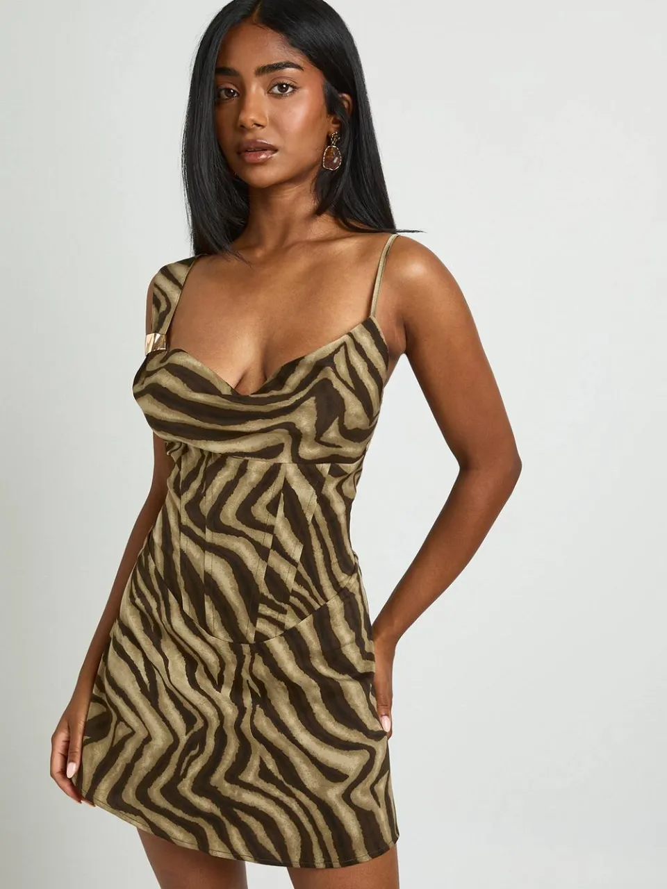 boohoo Dames Tonal Zebra Corset Detail Mini Jurk steen, foto 3