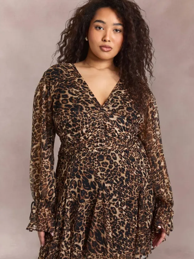 boohoo Dames Plus Leopard Getailleerde Skater Jurk luipaardprint, foto 4
