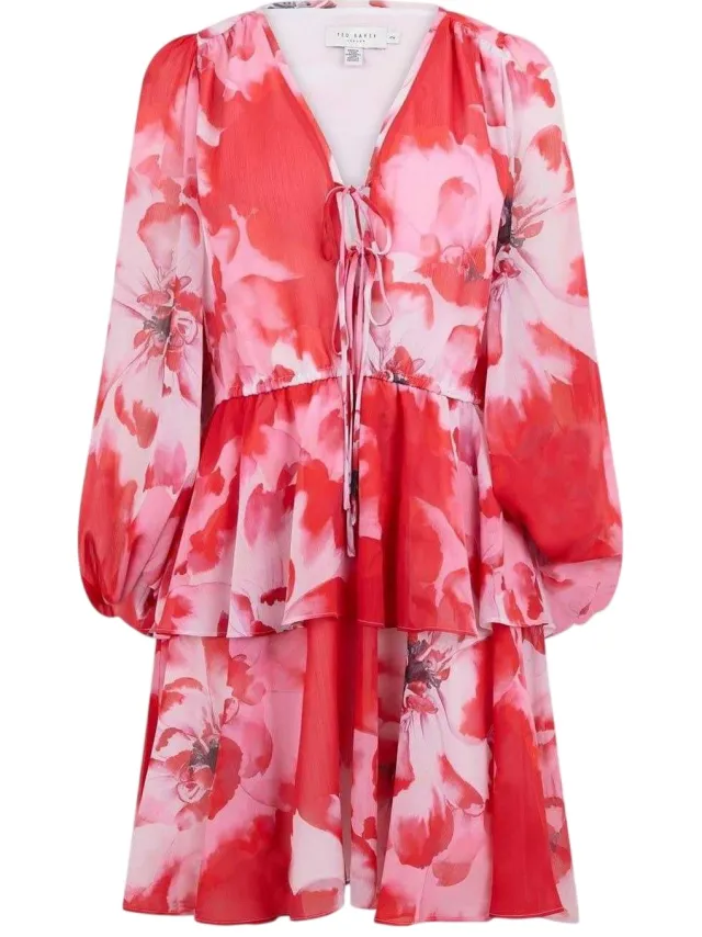 Ted Baker Dames/Dames Leyna Floral Mini Dress (Rood)