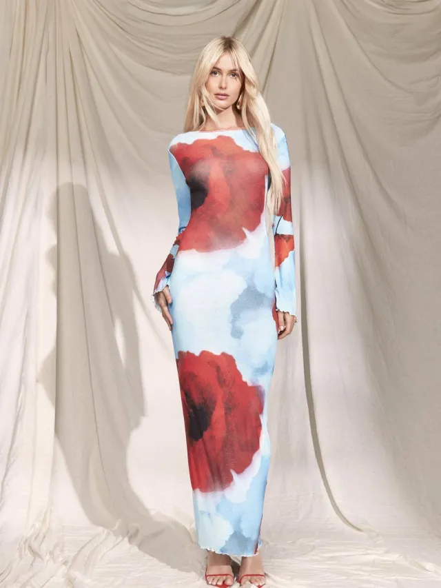 boohoo Dames Sheer Scoop Rug Bloemen Maxi Jurk blauw, foto 2