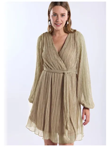 Freebird Dress dalena ls Goud