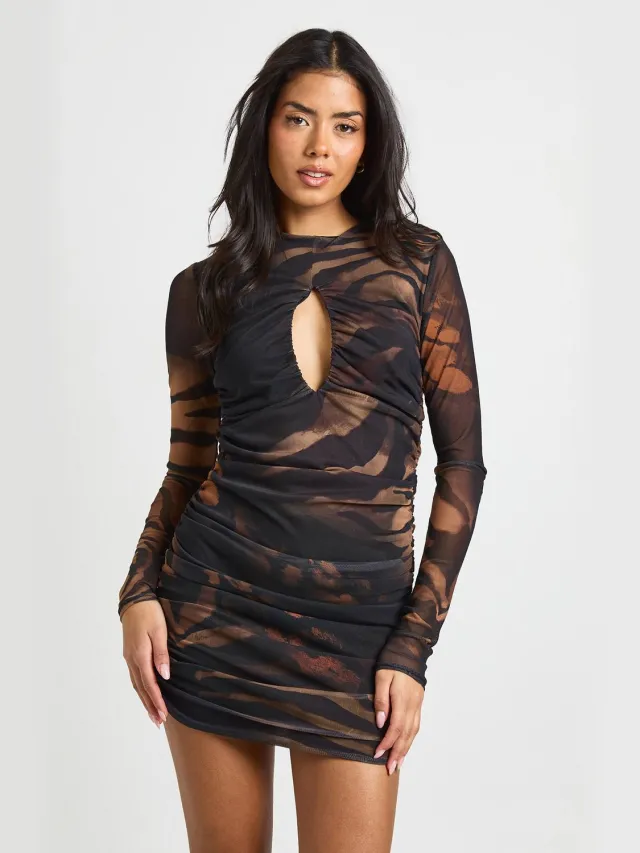 boohoo Dames Dierenprint Gerimpelde Mesh Keyhole Mini Jurk bruin, foto 2