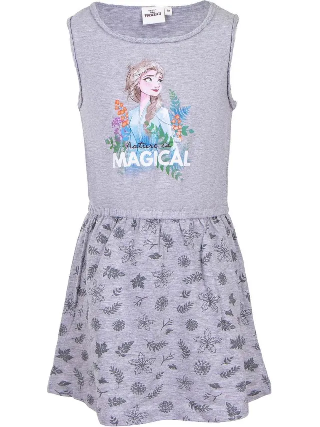 Disney Frozen - Jurk - Grijs - 4 jaar