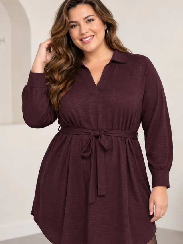Only Carmakoma ONLY jurk v-hals lange mouw Fig/Melange