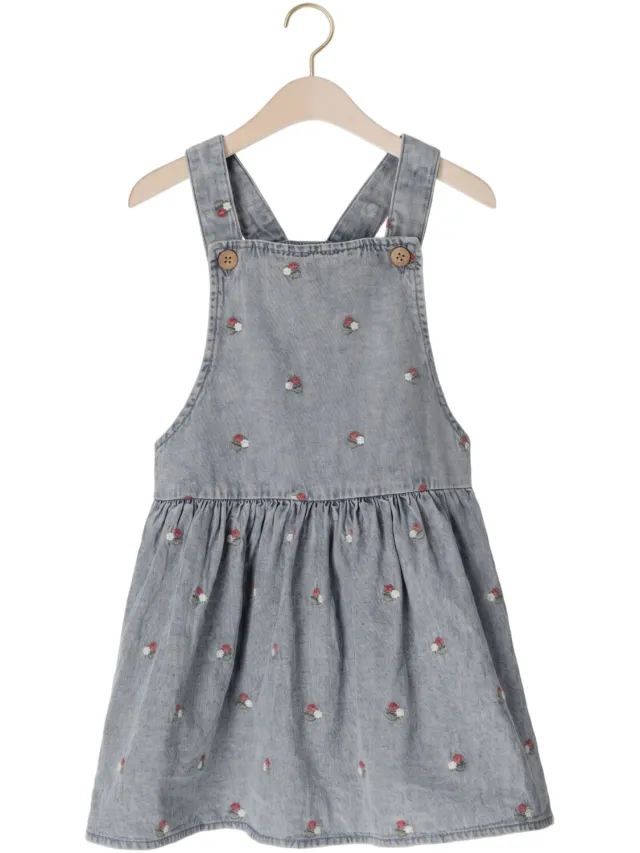Lil' Atelier Meisjes Jurken Nmffunda Dnm Emb Skirtall 2106-fd Lil - Lichtblauw