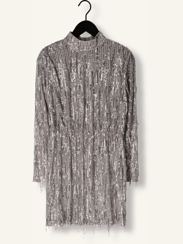 Ibana Frasy Dames - Jurk - Zilver