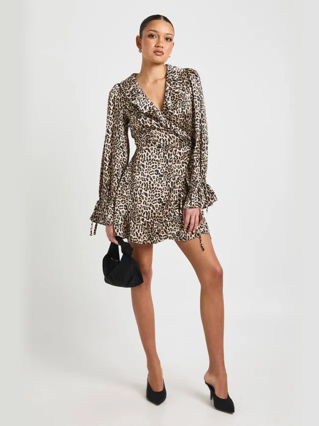 boohoo Dames Luipaardprint Ruches Wikkel Mini Jurk