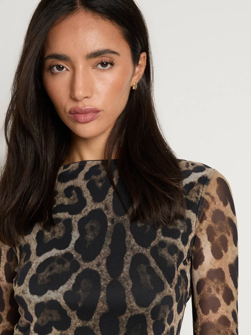 boohoo Dames Leopard Mesh Flare Mouw Mini Jurk bruin, foto 4