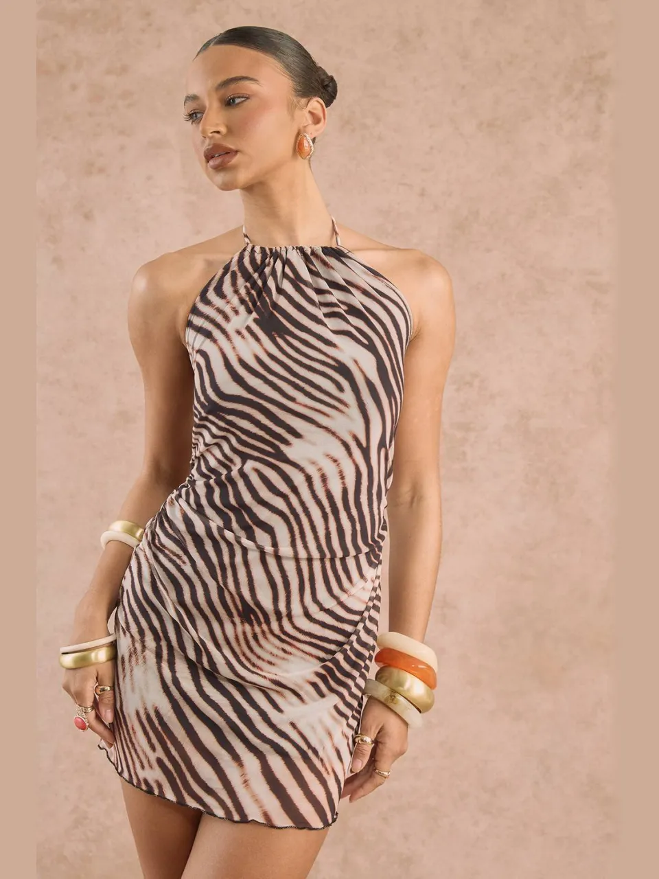 boohoo Dames Luipaard Halternek Mesh Mini Jurk luipaardprint, foto 4