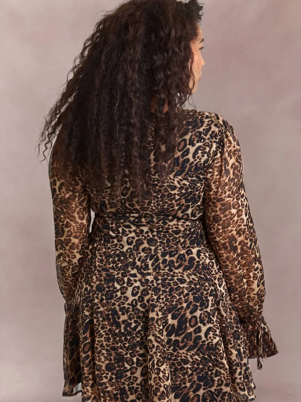 boohoo Dames Plus Leopard Getailleerde Skater Jurk luipaardprint, foto 2